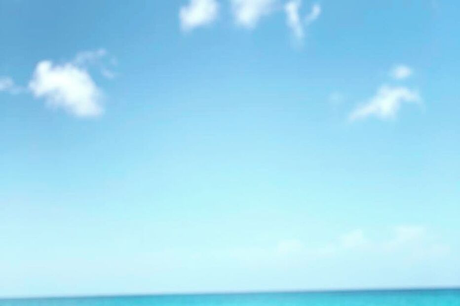 Ricardo Pereira, Francisca Pereira