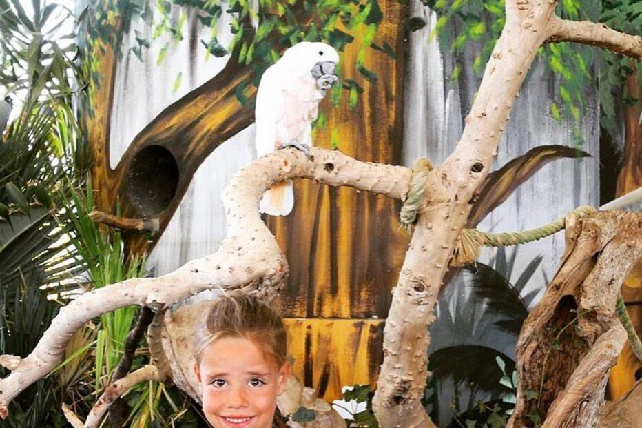 Ricardo Quaresma descansa em família no Algarve 