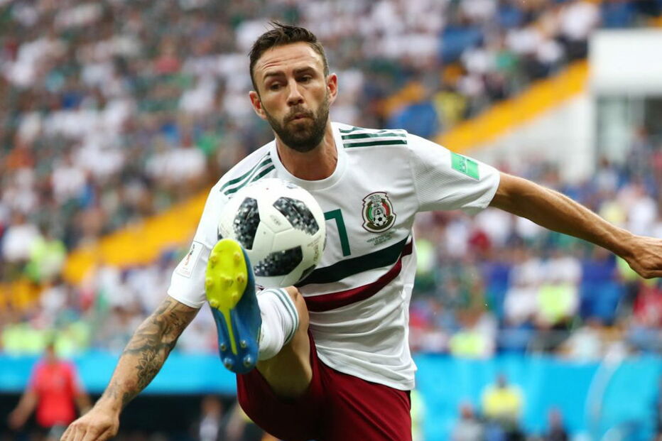 2019-06-09_08_50_45 16356296.JPG