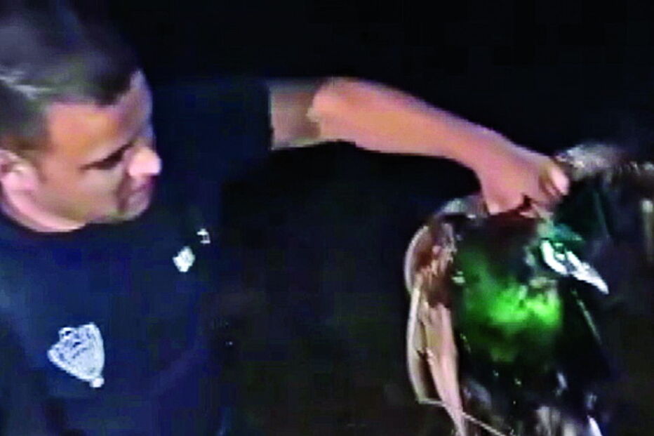 Ave estava presa e em hipotermia. Foi resgatada por dois bombeiros