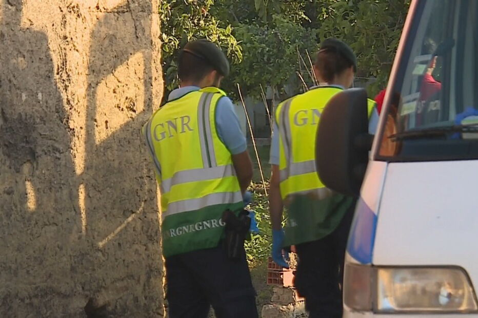 Duas mulheres morrem atropeladas em Oliveira do Bairro