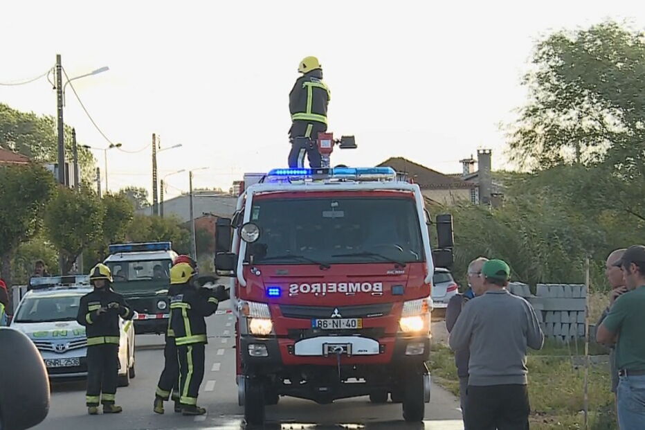 Duas mulheres morrem atropeladas em Oliveira do Bairro