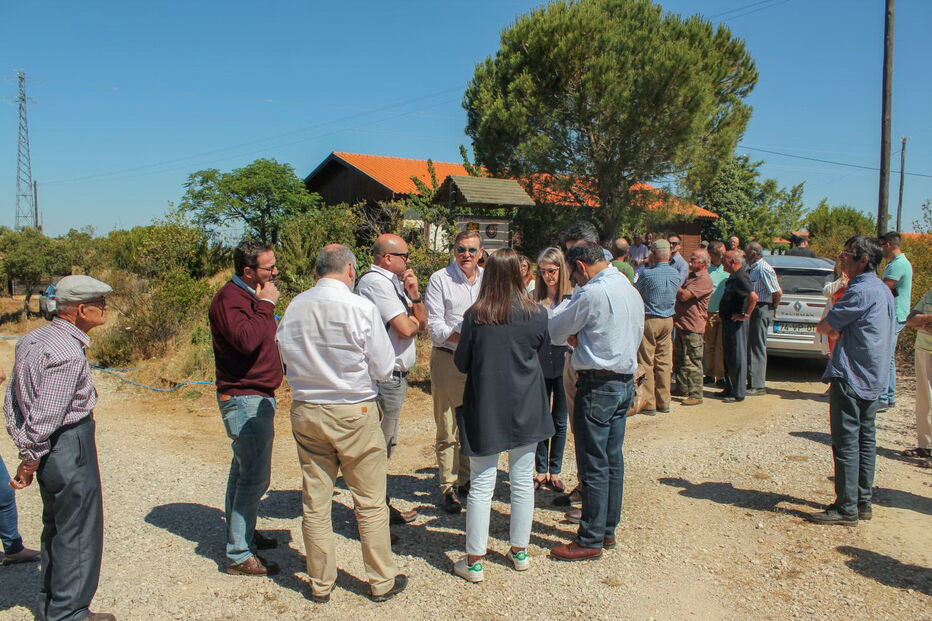 Juiz deslocou-se com testemunhas ao local onde começou o incêndio   