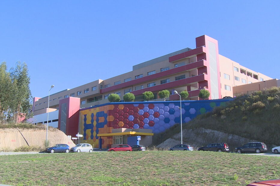 Menino de 10 anos em estado grave após ser mordido por víbora-cornuda em Penela