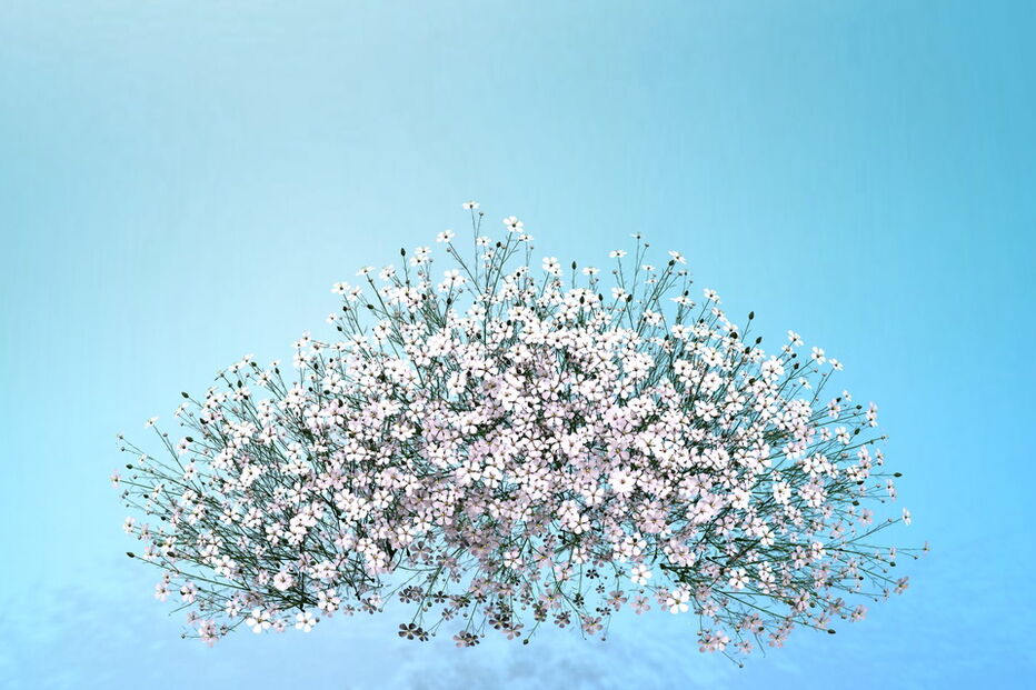 2019-06-18_17_39_04 FOTO 2  .jpg