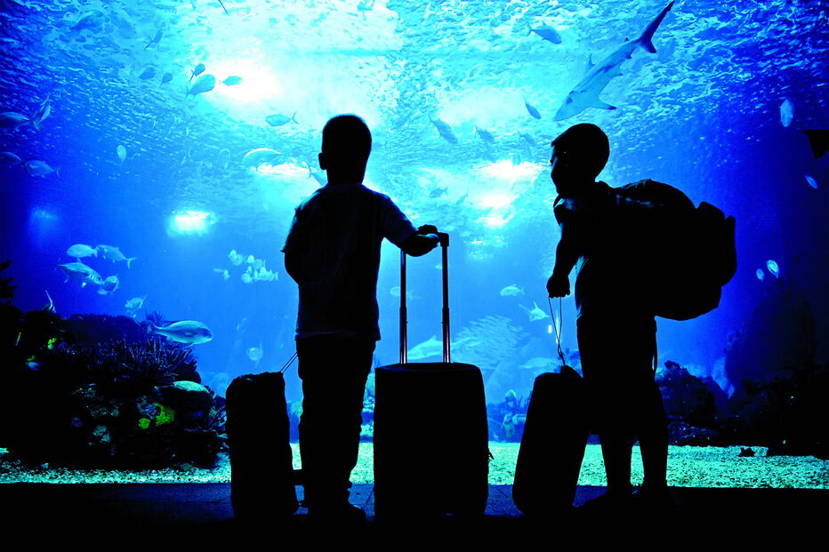 Oceanário de Lisboa