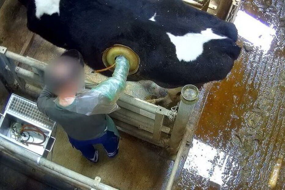 Centro de pesquisa defende que o objectivo é estuda a 