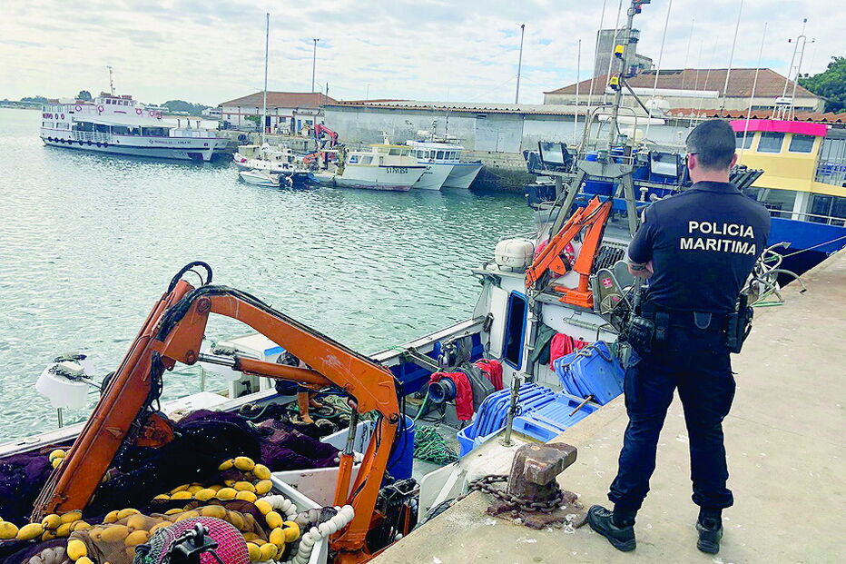 1200 quilos de sardinha apreendidos 