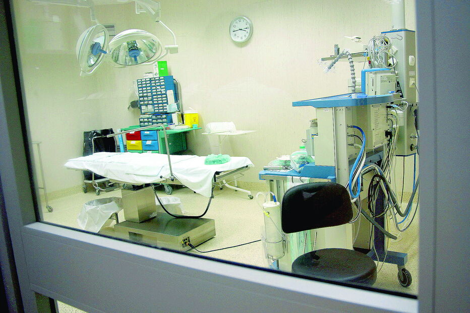 Maternidades da região de Lisboa e Vale do Tejo vão perder capacidade de resposta durante o verão devido a férias dos profissionais de Saúde