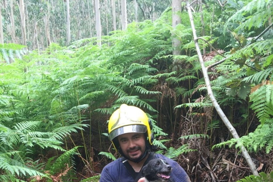 Bombeiros resgatam cão de poço em Vila Nova de Famalicão