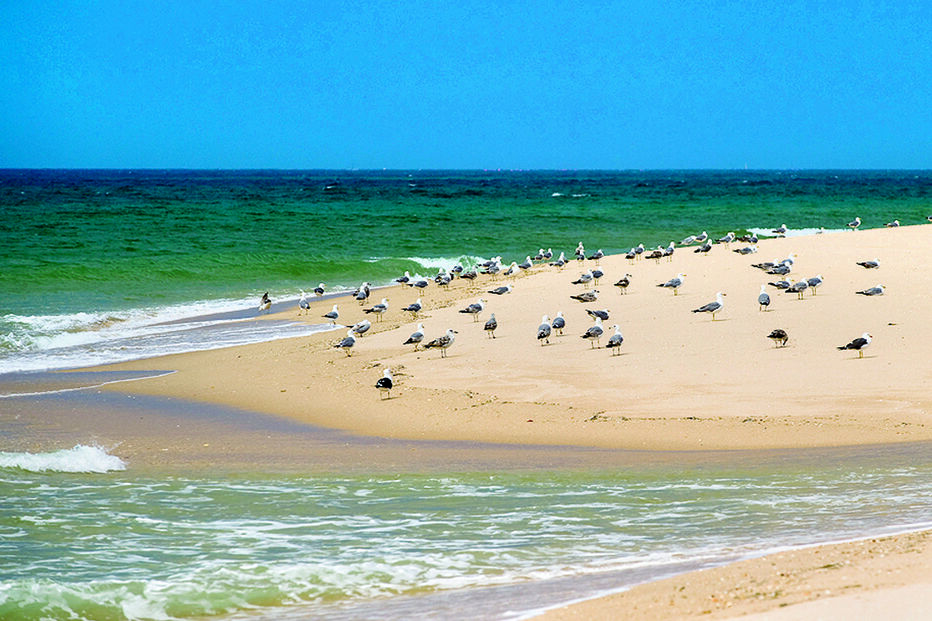 Ilha Deserta