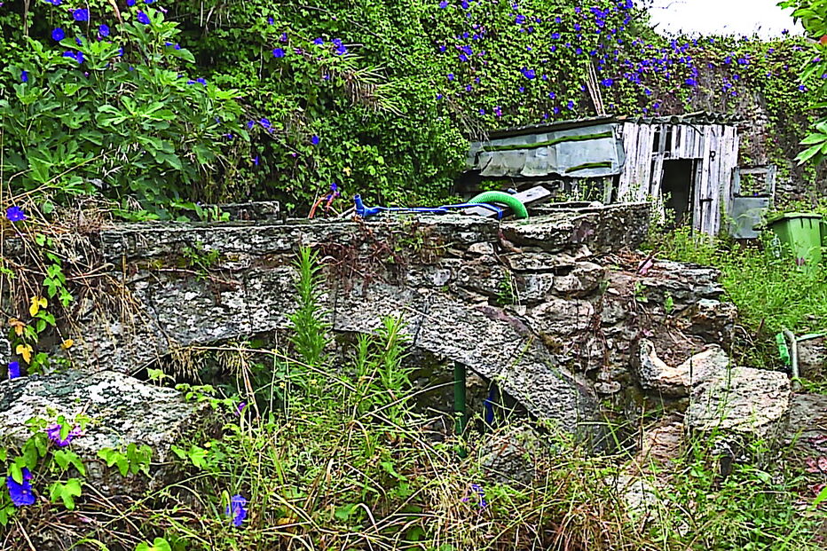 Mangueiras que Valentim utilizou para ir buscar água, no terreno onde cultivava 