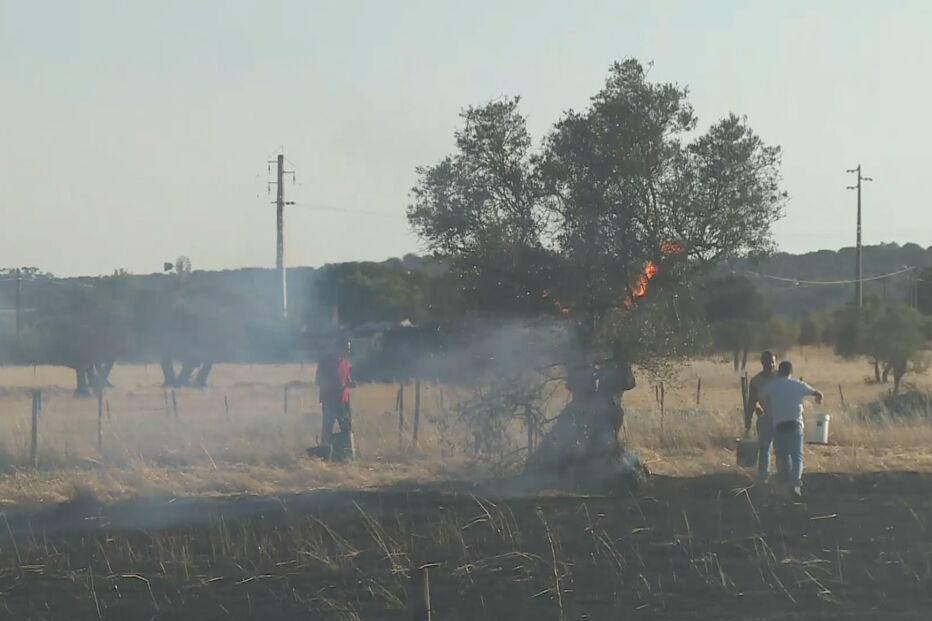 Incêndio coloca casas em risco em Évora