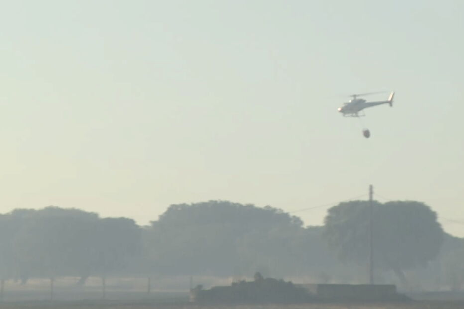 Incêndio coloca casas em risco em Évora