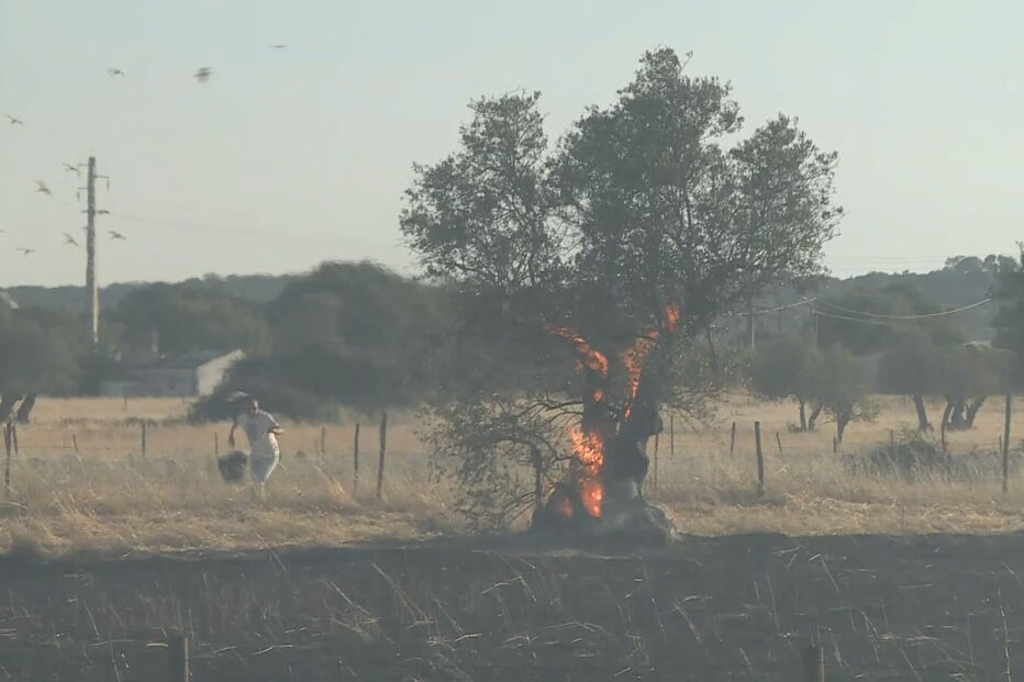 Incêndio coloca casas em risco em Évora