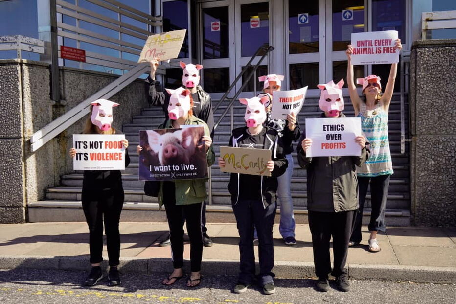 grupo de manifestantes dos direitos dos animais 