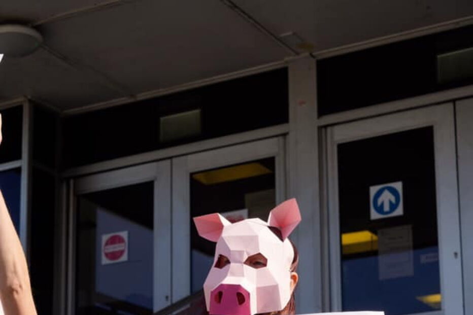 grupo de manifestantes dos direitos dos animais 