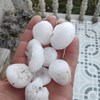 Queda de bolas de granizo causa destruição e surpreende população em Bragança