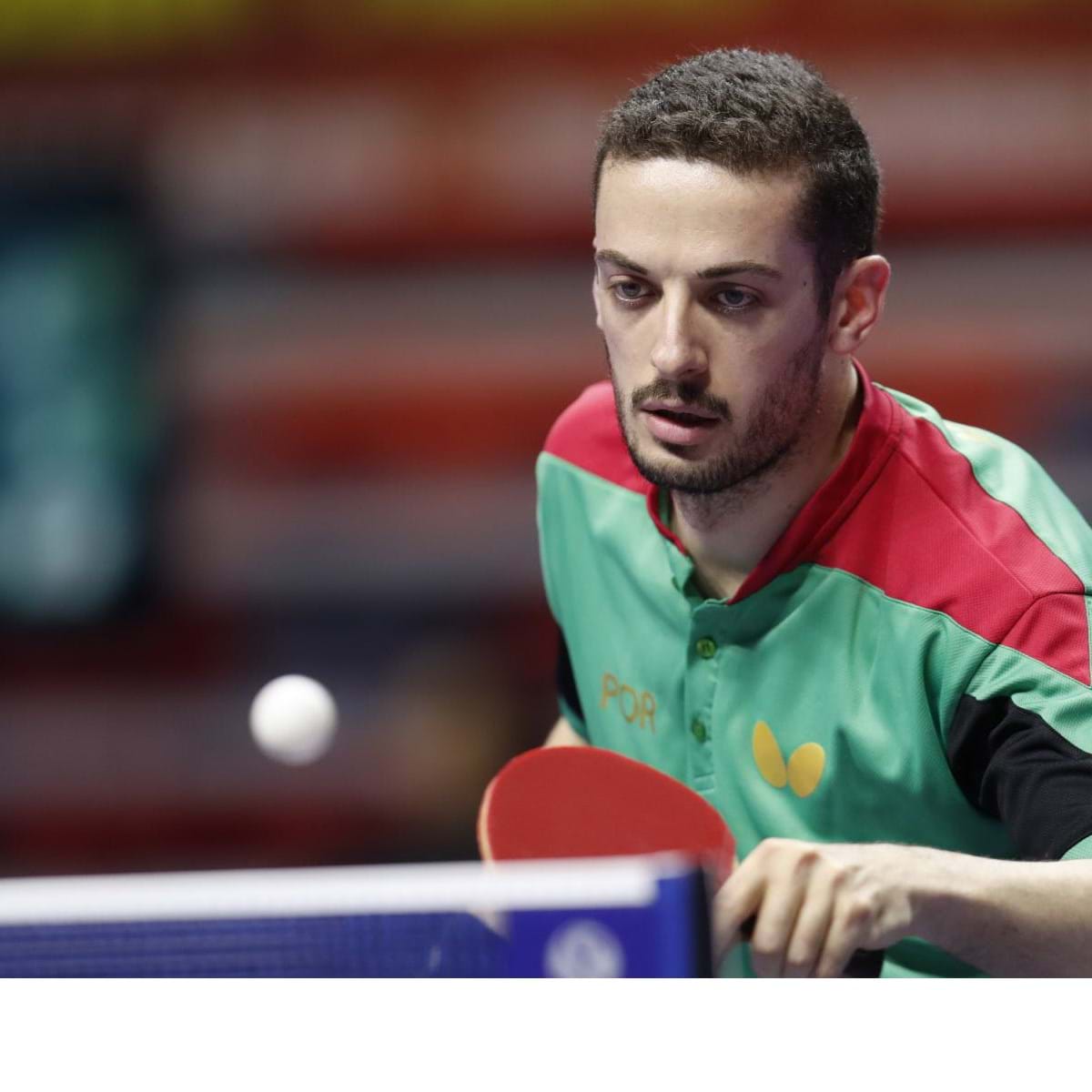 Mais uma medalha para Portugal. Marcos Freitas na final no ténis de mesa