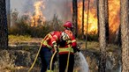 Fumo dos incêndios em Portugal e anticiclone formam 'nuvem' que cobre Extremadura espanhola