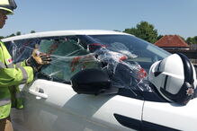 salvamento de Bertie