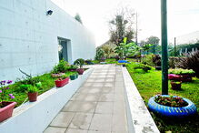 Caso ocorreu na E.B. de Ortigueira