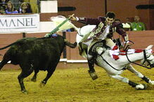 Cavalo Xeque-Mate sofreu fratura exposta e foi abatido