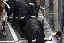 largada de touros em Espanha