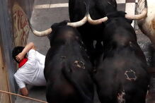 largada de touros em Espanha