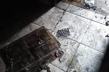 Incêndio deixa uma mulher ferida com gravidade em Odivelas