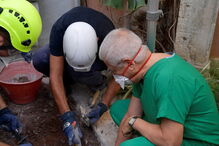 Autoridades abrem túmulos de princesas no Vaticano em busca de jovem desaparecida