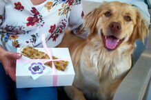 Doença de cadela inspira pequeno negócio de biscoitos nos Açores 