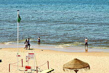 Algas voltam a deixar água das praias do Algarve de cor vermelha 