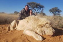 Matam leão e posam aos beijos junto ao animal
