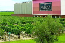 Casa Ermelinda Freitas