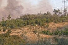 Sete meios aéreos e mais de 200 bombeiros combatem incêndio em Viseu