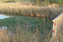 Corpo de homem encontrado no rio Lis na Marinha Grande