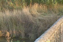 Corpo de homem encontrado no rio Lis na Marinha Grande