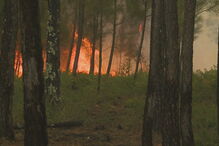 Incêndio perto de aldeias nos concelhos vizinhos de Vila de Rei e Sertã