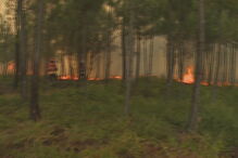 Incêndio perto de aldeias nos concelhos vizinhos de Vila de Rei e Sertã