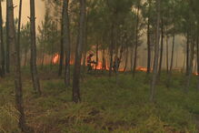 Incêndio perto de aldeias nos concelhos vizinhos de Vila de Rei e Sertã