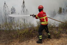 Incêndio em Mação