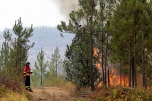 Incêndio em Mação
