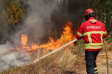 Incêndio em Mação