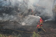 Incêndio em Mação