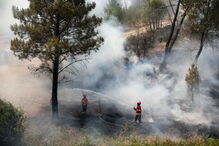 Incêndio em Mação