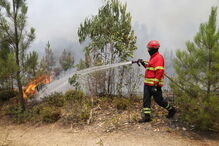 Incêndio em Mação