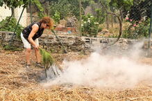 Incêndio em Mação