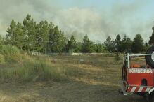 Mais de 150 bombeiros combatem incêndio em Viseu