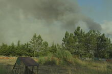 Mais de 150 bombeiros combatem incêndio em Viseu